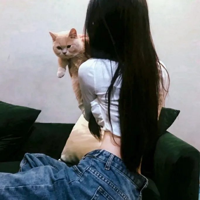 彩虹飞仙